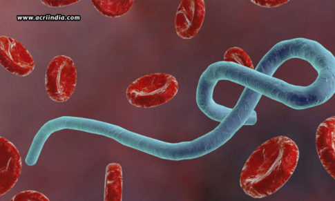 MBP134 – The Exclusive Treatment For All Species Of Ebola Virus!